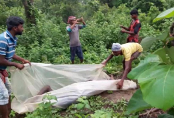 One person died in a wild elephant attack at Teliamura One person died in a wild elephant attack at Teliamura